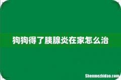 狗狗得了胰腺炎在家怎么治