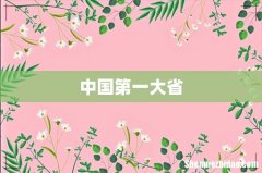 中国第一大省