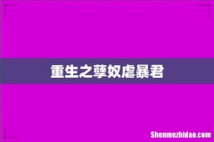 重生之孽奴虐暴君