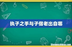 执子之手与子偕老出自哪
