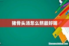 猪骨头汤怎么熬最好喝