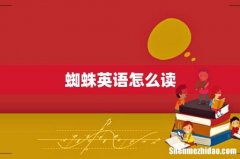 蜘蛛英语怎么读