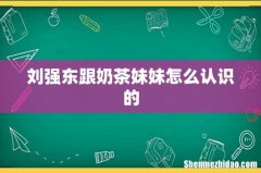 刘强东跟奶茶妹妹怎么认识的