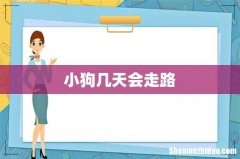 小狗几天会走路