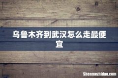 乌鲁木齐到武汉怎么走最便宜