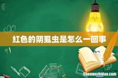 红色的阴虱虫是怎么一回事