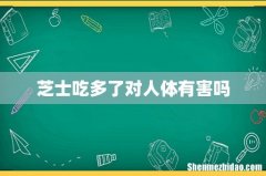 芝士吃多了对人体有害吗
