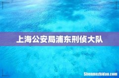上海公安局浦东刑侦大队