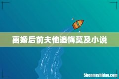 离婚后前夫他追悔莫及小说