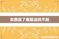 东西丢了客服说找不到