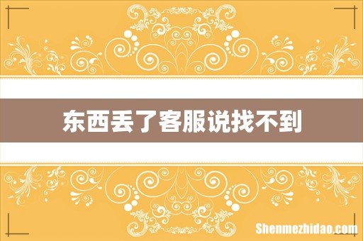东西丢了客服说找不到