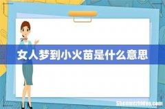 女人梦到小火苗是什么意思