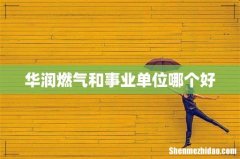 华润燃气和事业单位哪个好