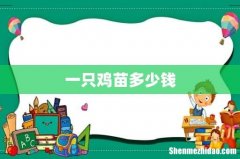 一只鸡苗多少钱