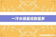 一汗水填量词数量多