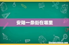 安陆一条街在哪里