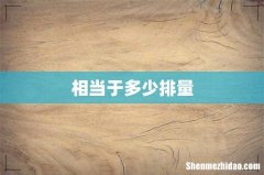 相当于多少排量