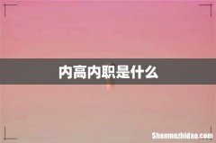 内高内职是什么
