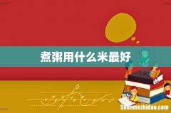 煮粥用什么米最好
