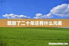 醋放了二十年还有什么元素