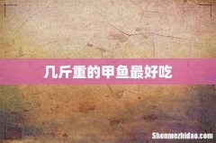 几斤重的甲鱼最好吃