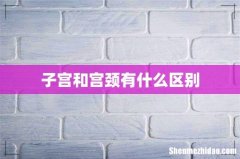 子宫和宫颈有什么区别