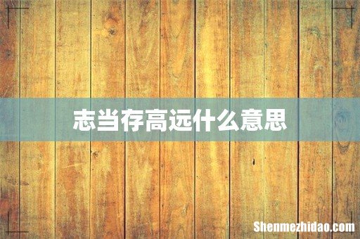 志当存高远什么意思