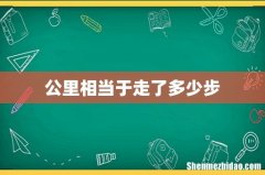 公里相当于走了多少步