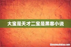 大宝是天才二宝是黑客小说