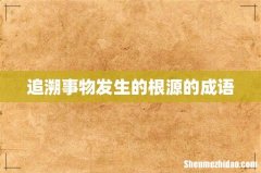 追溯事物发生的根源的成语