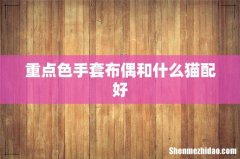 重点色手套布偶和什么猫配好