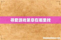 寻爱游戏第章在哪里找
