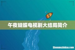 午夜蝴蝶电视剧大结局简介