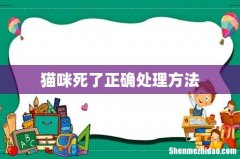 猫咪死了正确处理方法