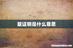 兹证明是什么意思