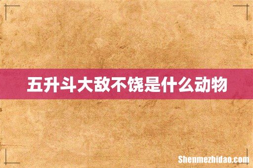 五升斗大敌不饶是什么动物