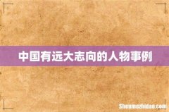 中国有远大志向的人物事例