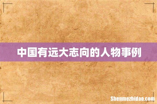 中国有远大志向的人物事例