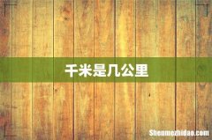 千米是几公里