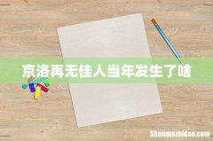 京洛再无佳人当年发生了啥