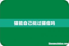 猫能自己挺过猫瘟吗