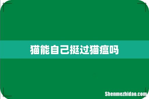 猫能自己挺过猫瘟吗