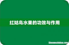 红姑鸟水果的功效与作用