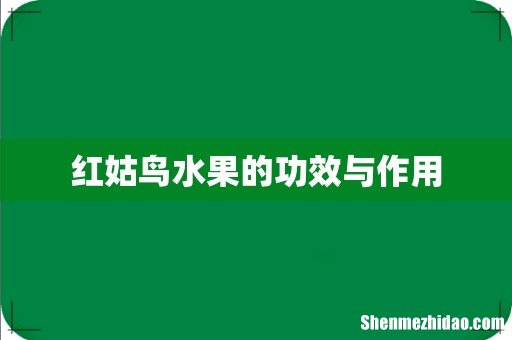 红姑鸟水果的功效与作用