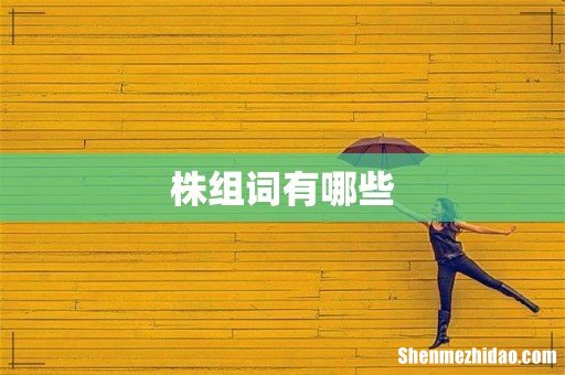 株组词有哪些