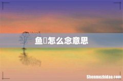 鱼鱻怎么念意思