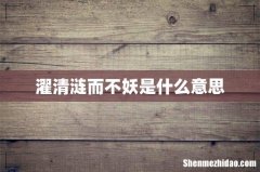 濯清涟而不妖是什么意思