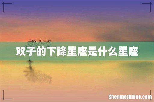 双子的下降星座是什么星座