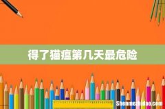 得了猫瘟第几天最危险