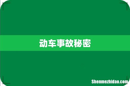 动车事故秘密
